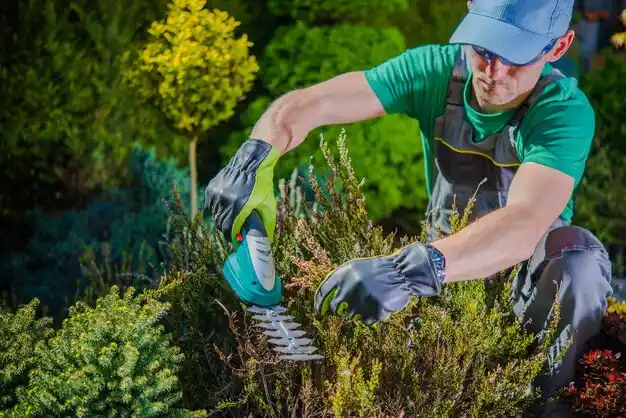 landscaping services Corder